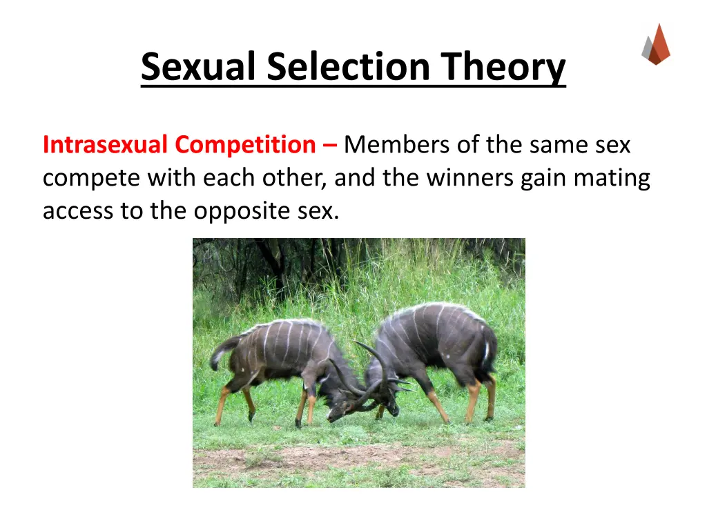 sexual selection theory 1