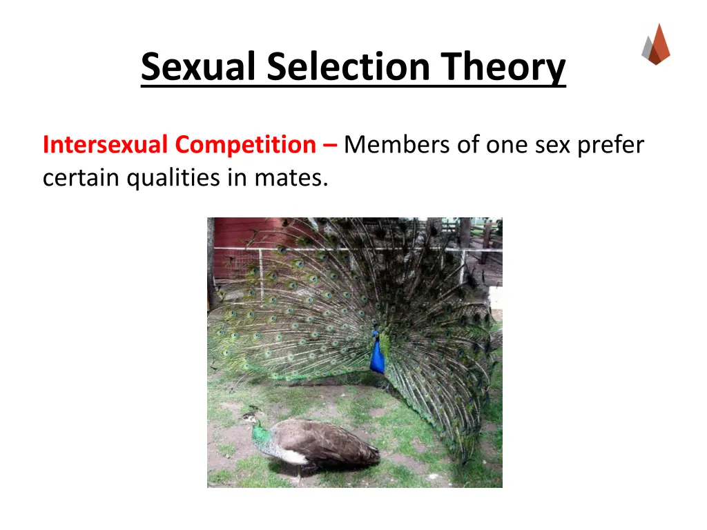 sexual selection theory 2