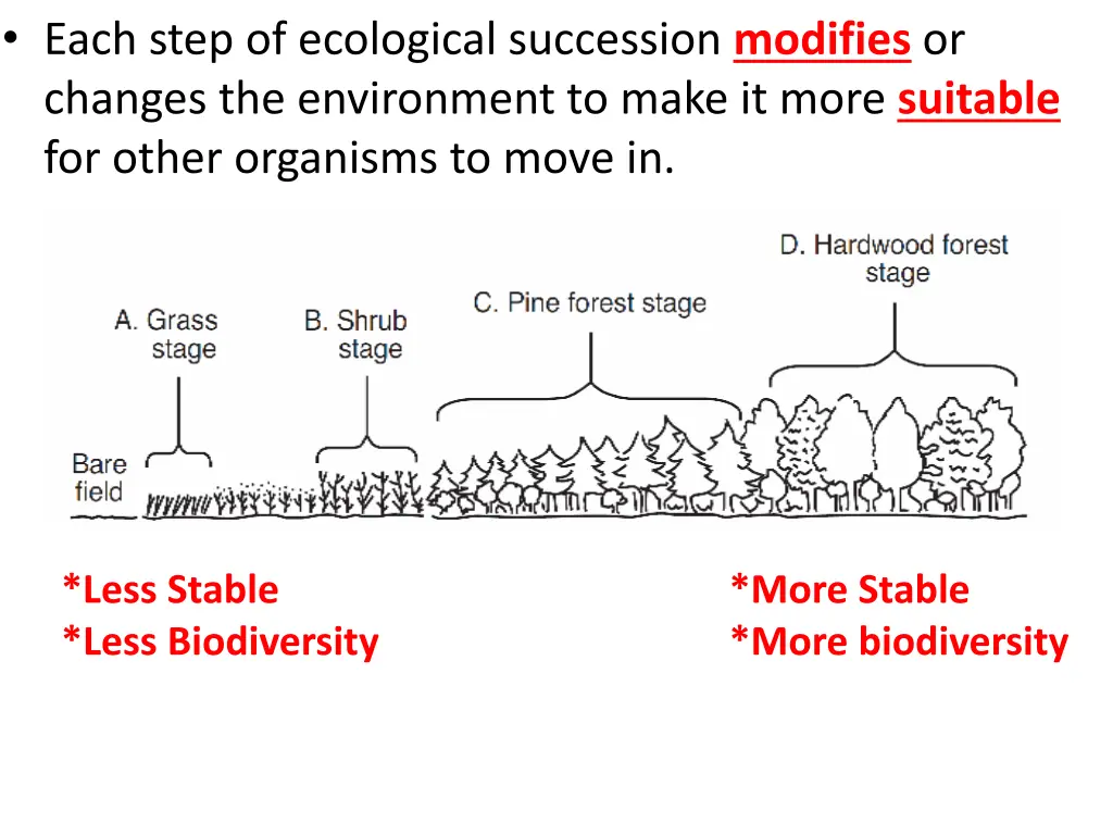 each step of ecological succession modifies