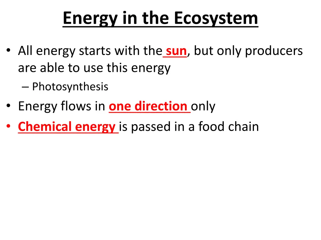 energy in the ecosystem