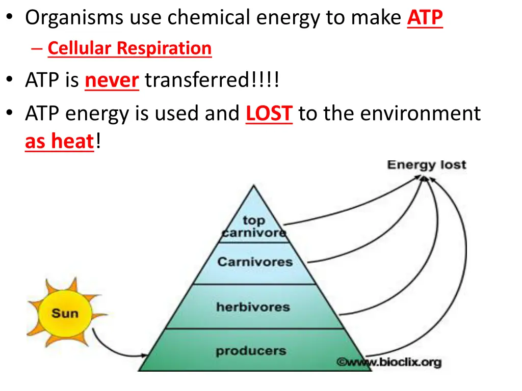 organisms use chemical energy to make