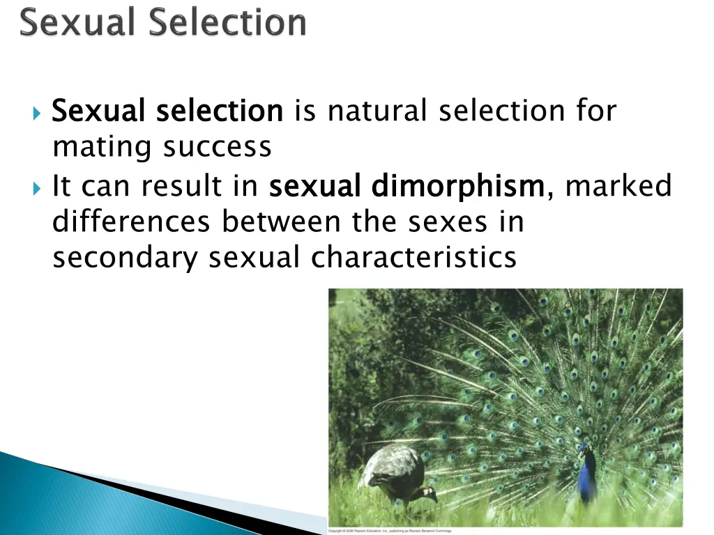 sexual selection mating success it can result