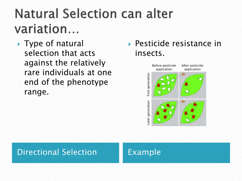 type of natural selection that acts against