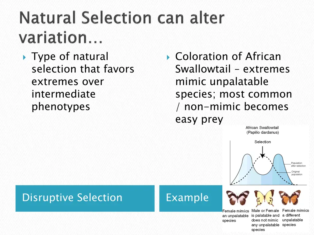 type of natural selection that favors extremes