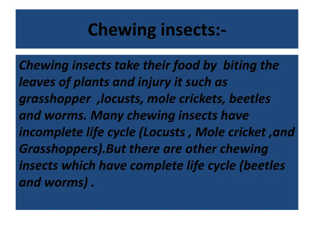 chewing insects