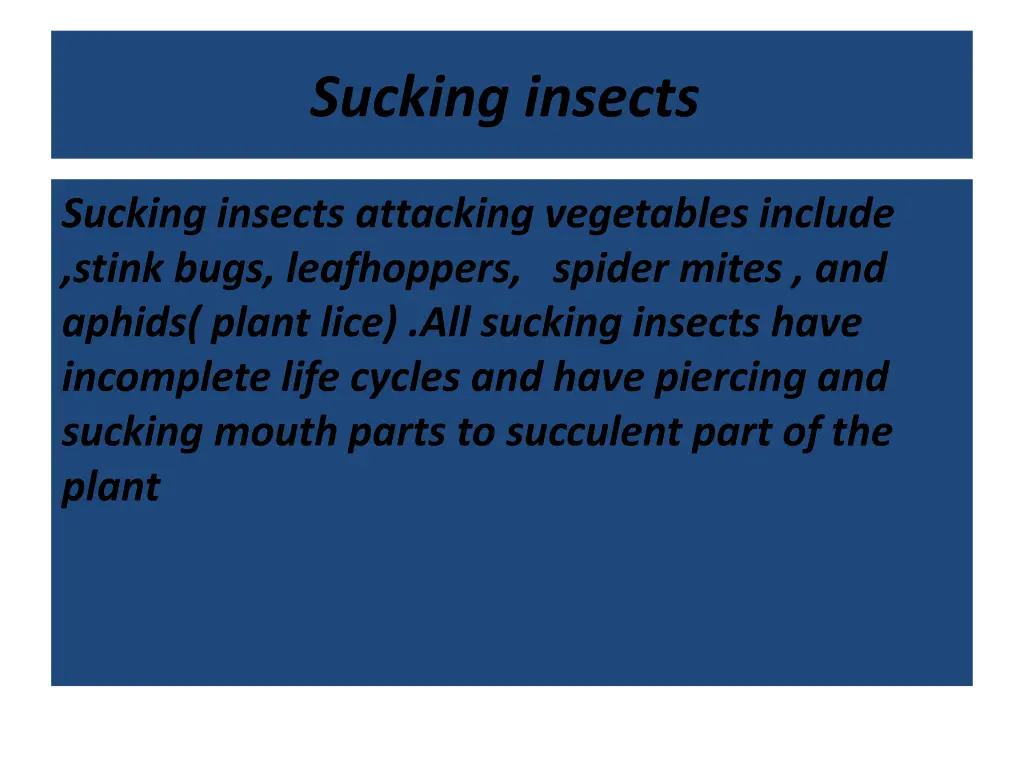 sucking insects