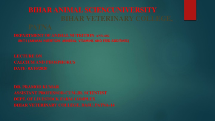 bihar animal sciencuniversity bihar veterinary