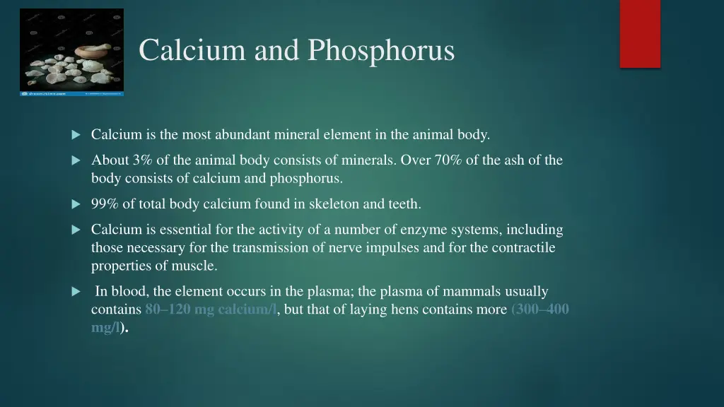 calcium and phosphorus