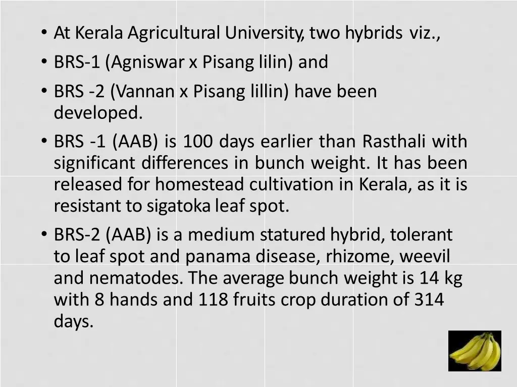 atkeralaagriculturaluniversity two hybrids