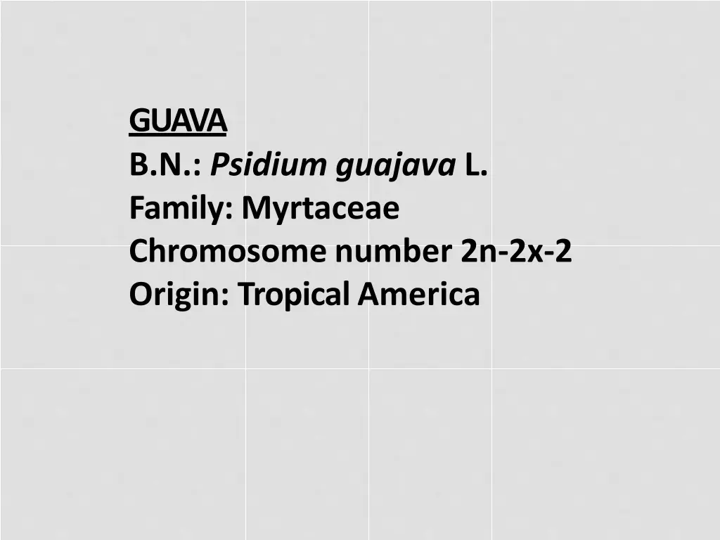 guava b n psidium guajava l family myrtaceae