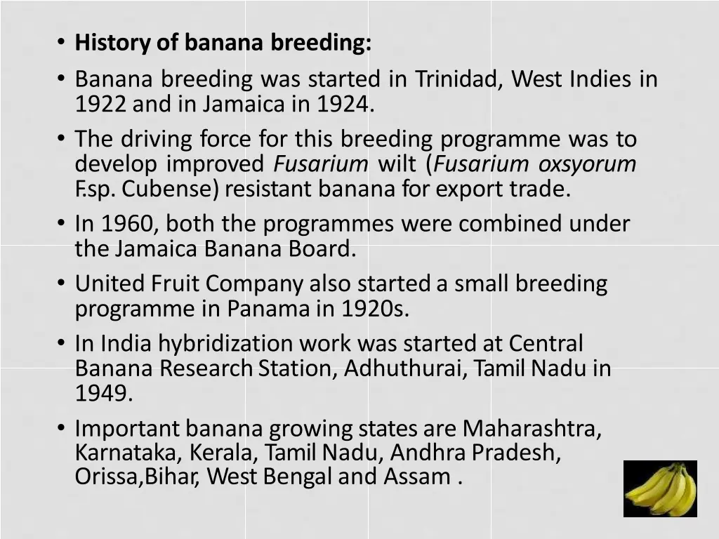 historyof banana breeding banana breeding