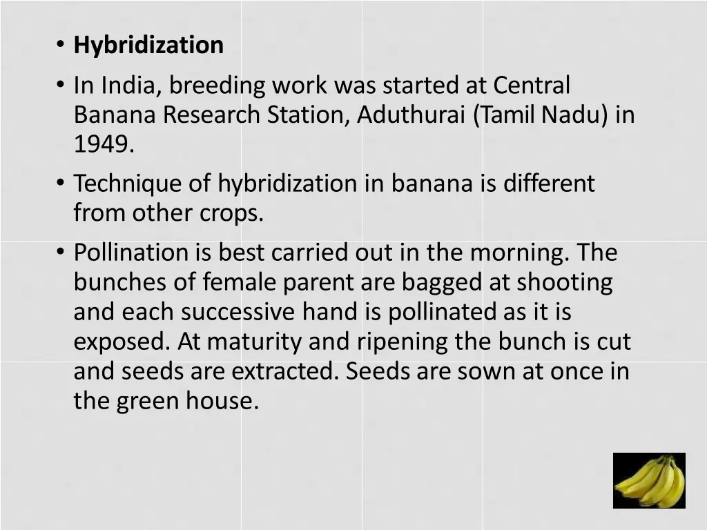 hybridization in india breeding work was started