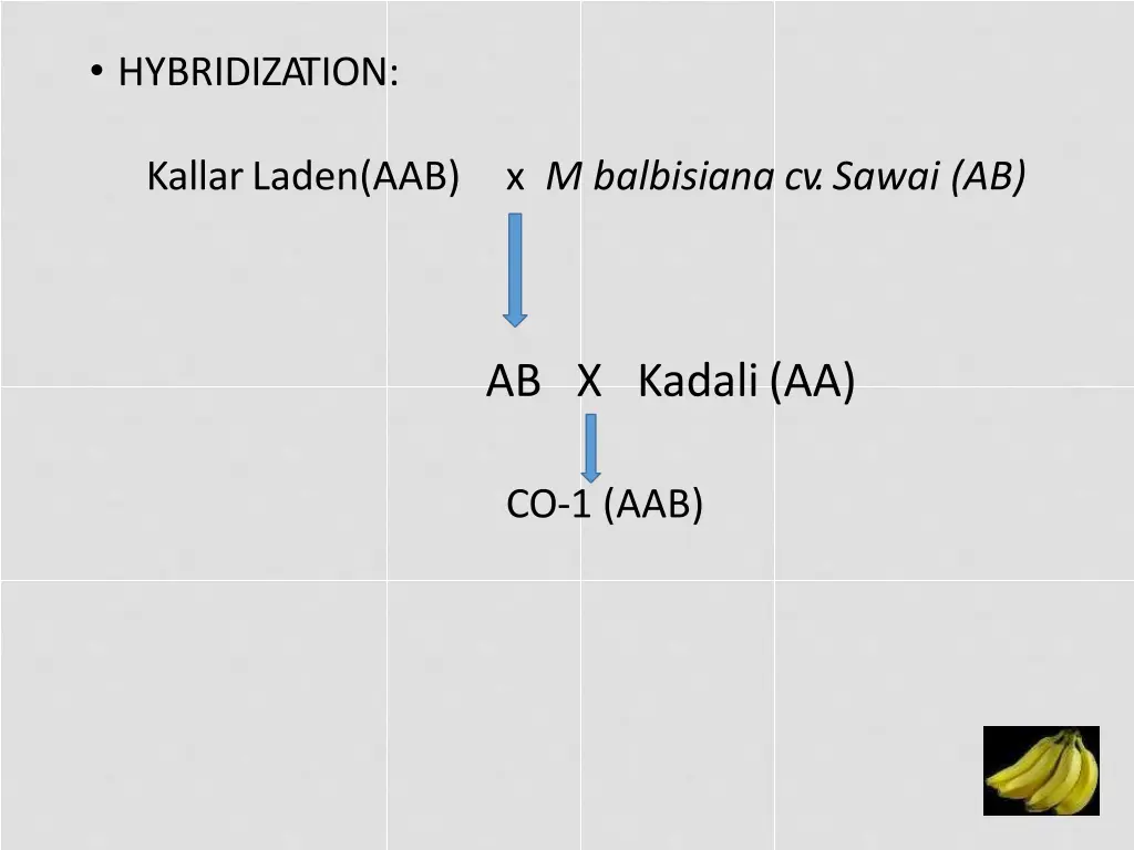 hybridization