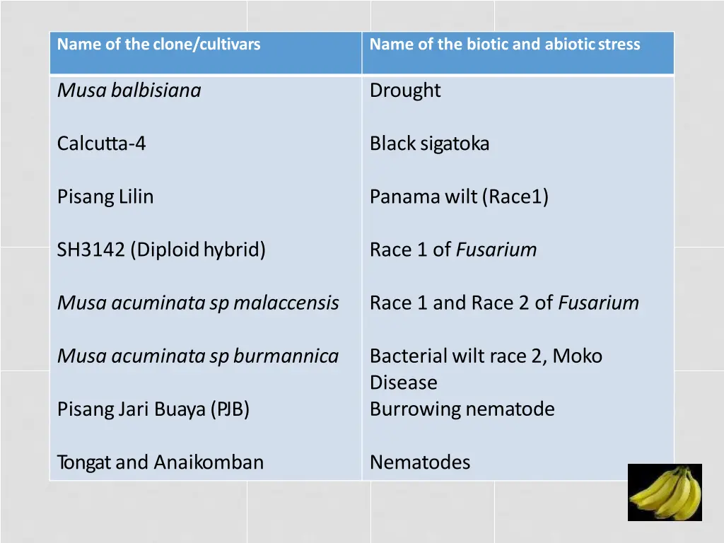 name of theclone cultivars