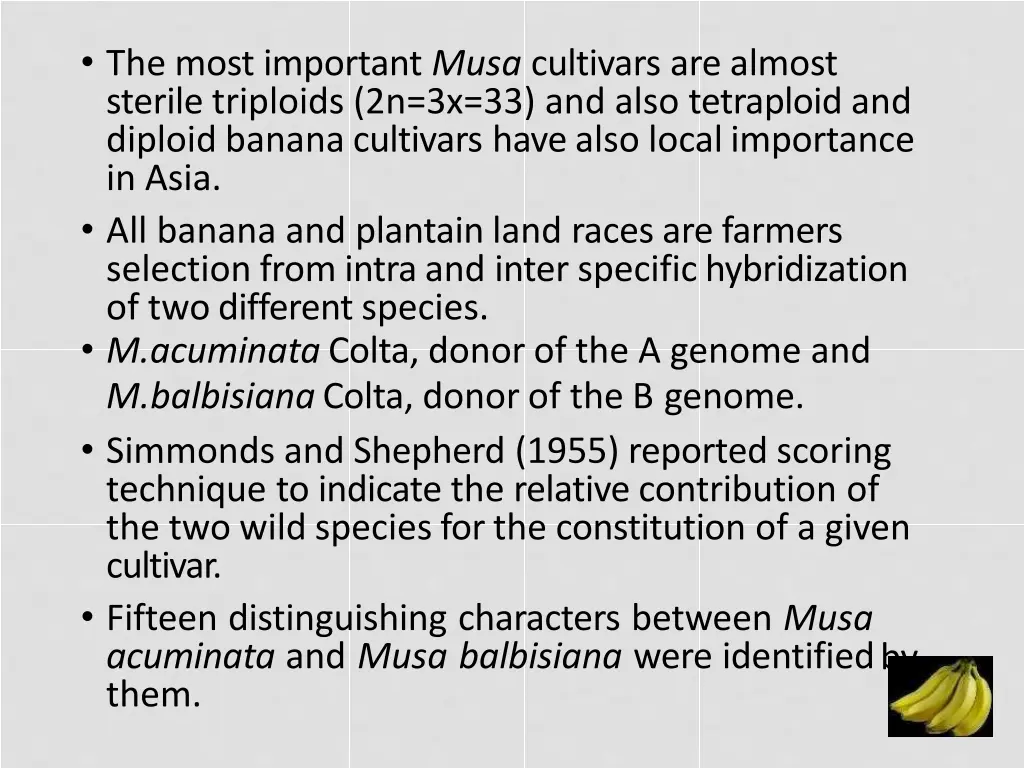 the most important musa cultivars are almost