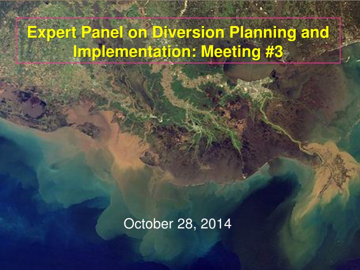 expert panel on diversion planning