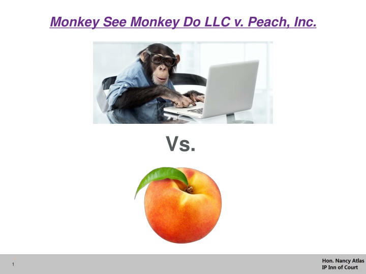 monkey see monkey do llc v peach inc