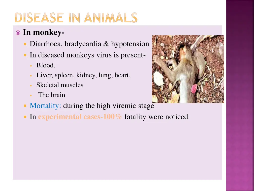 disease in animals in monkey diarrhoea