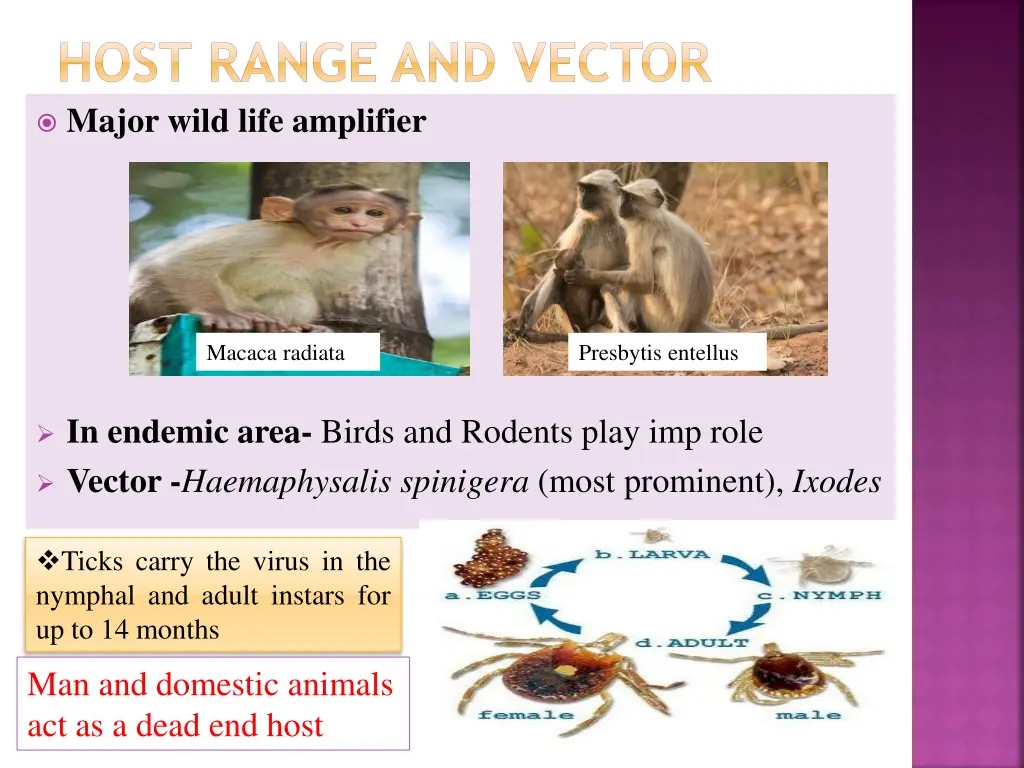 host range and vector major wild life amplifier