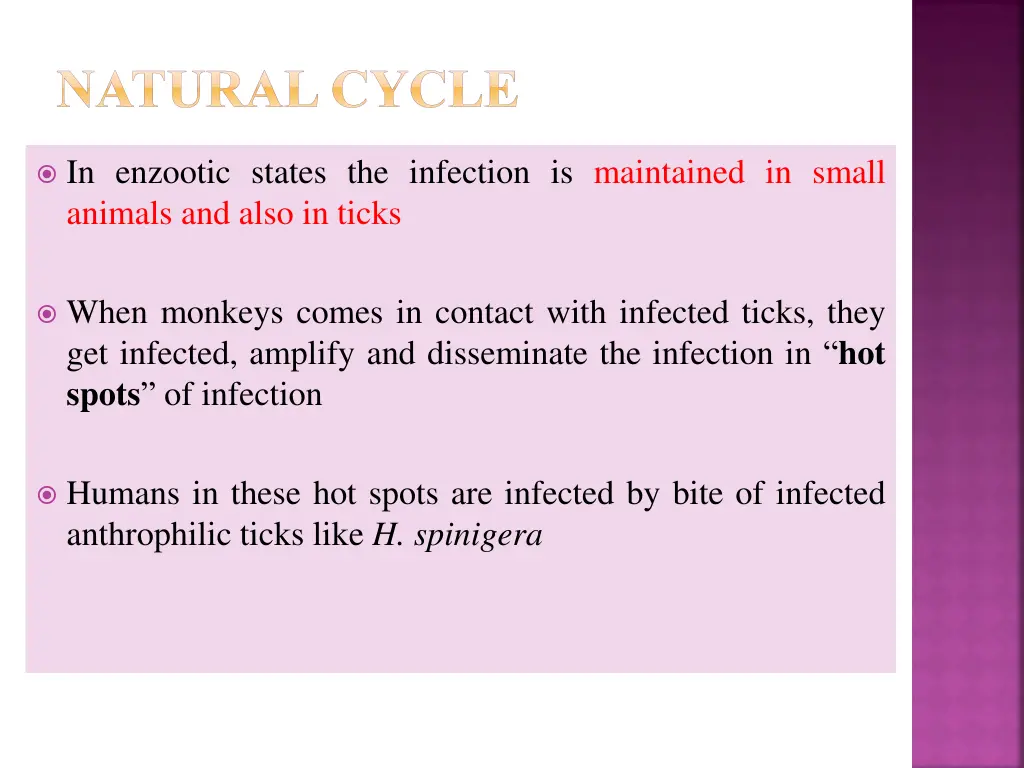 natural cycle