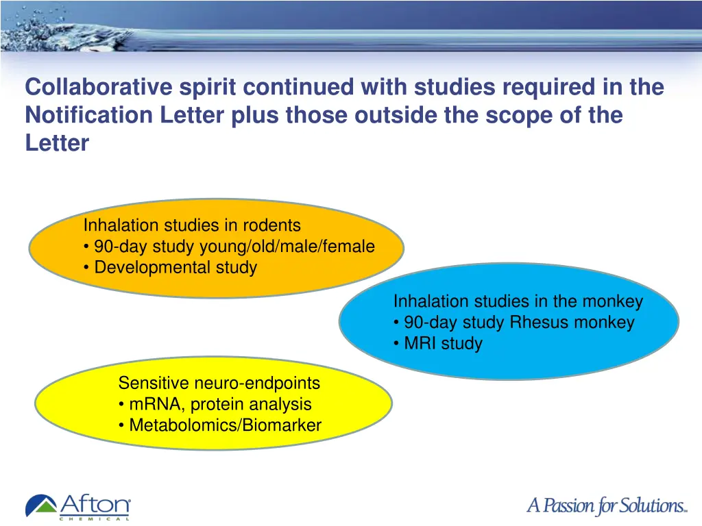 collaborative spirit continued with studies