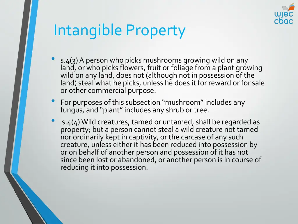 intangible property