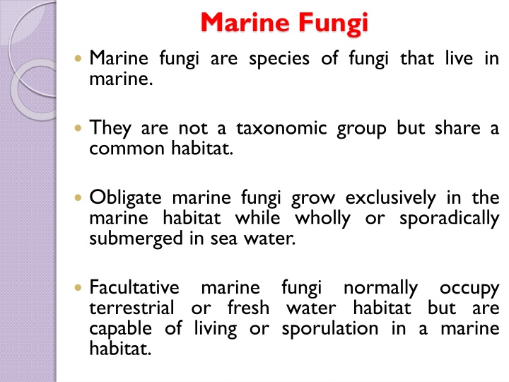 marine fungi