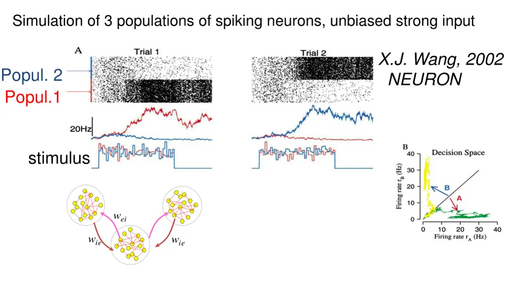 simulation of 3 populations of spiking neurons