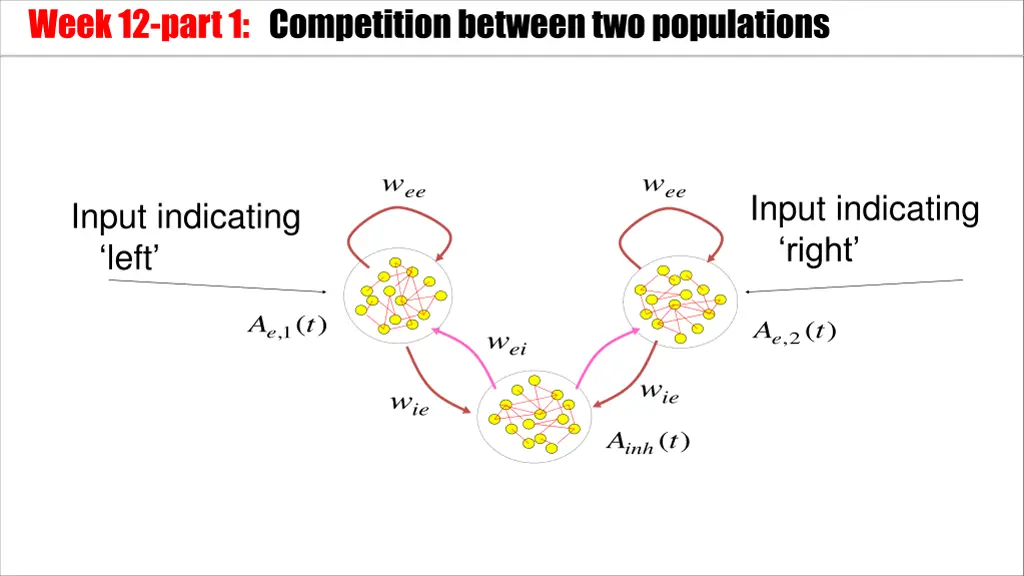 week 12 part 1 competition between two populations