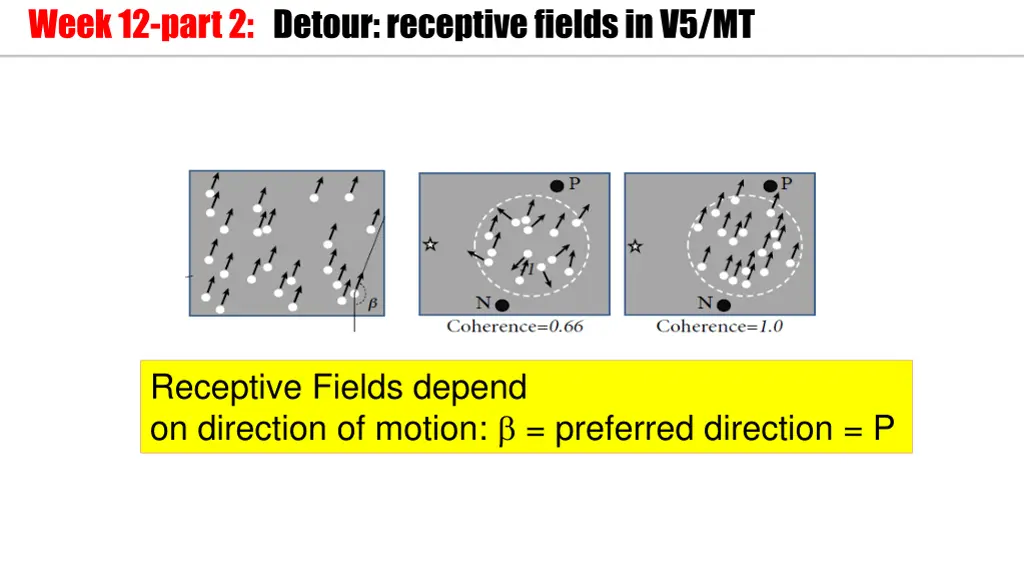 week 12 part 2 detour receptive fields in v5 mt 2