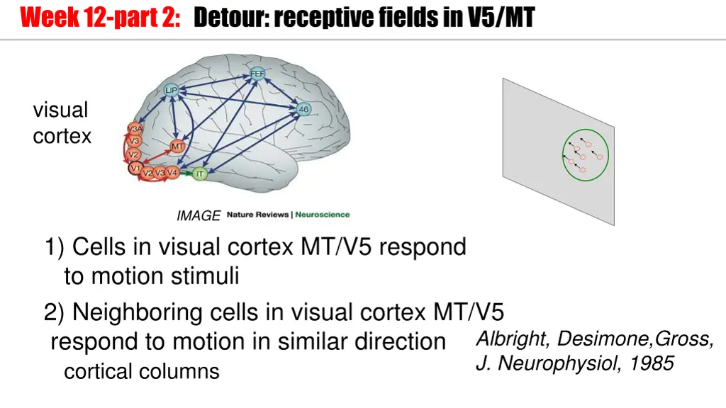 week 12 part 2 detour receptive fields in v5 mt