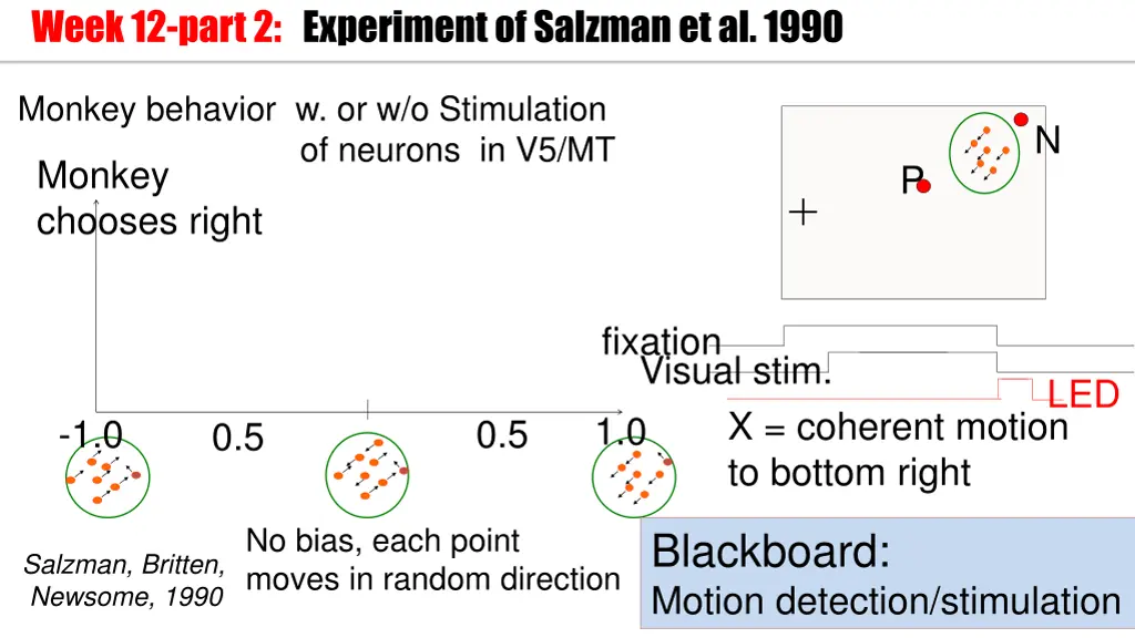 week 12 part 2 experiment of salzmanet al 1990 1