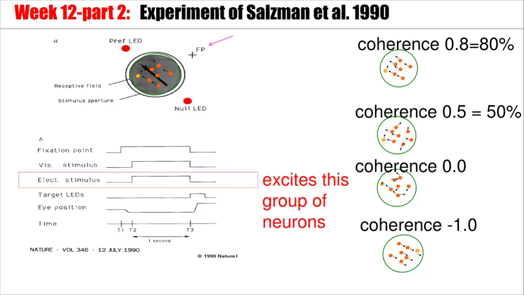 week 12 part 2 experiment of salzmanet al 1990 2