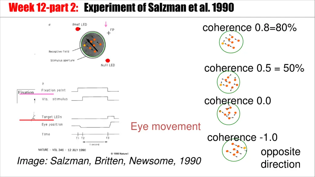 week 12 part 2 experiment of salzmanet al 1990