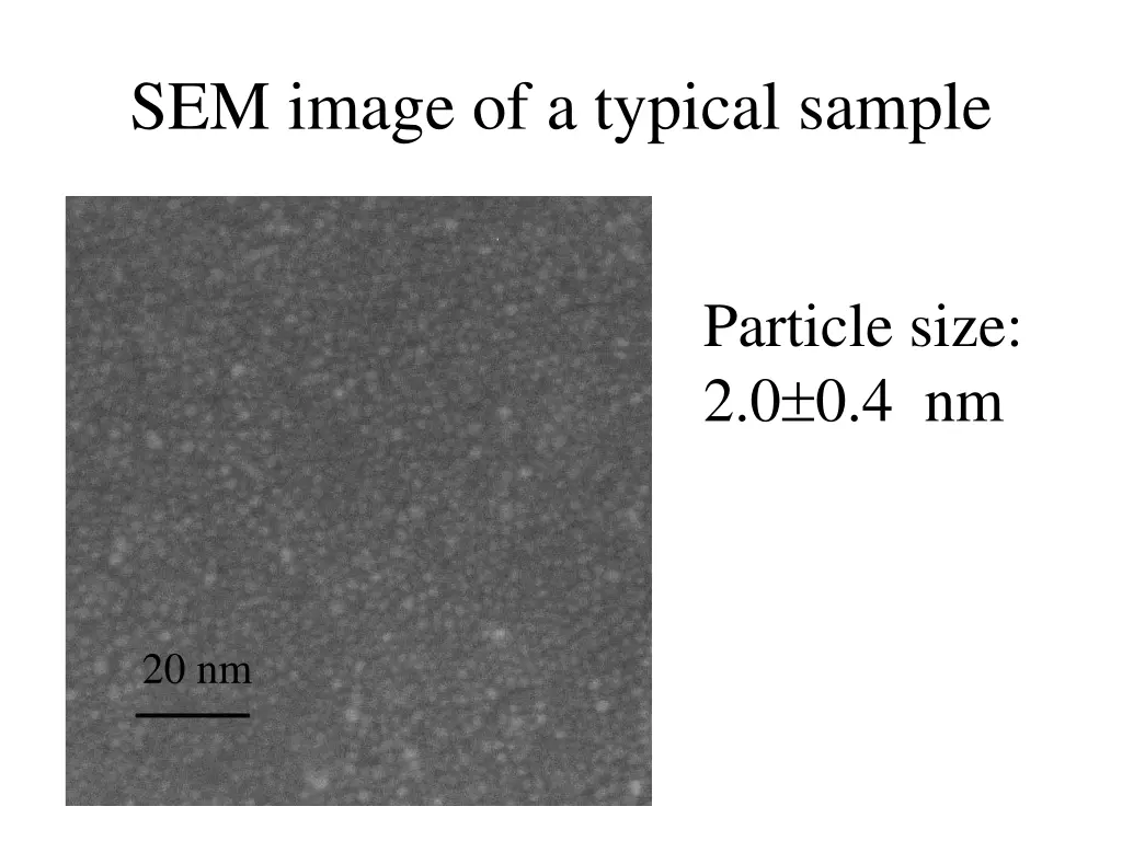 sem image of a typical sample