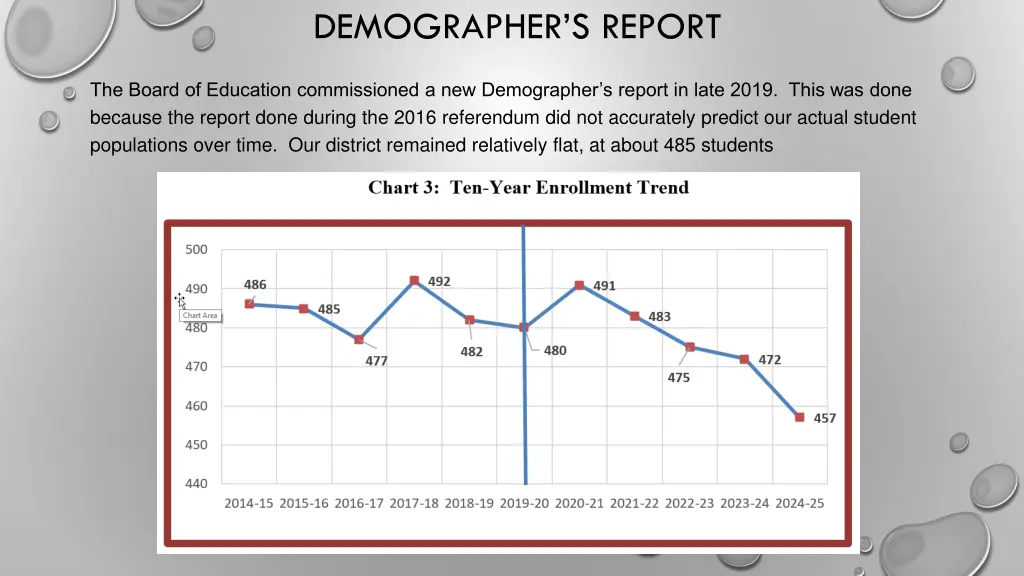 demographer s report