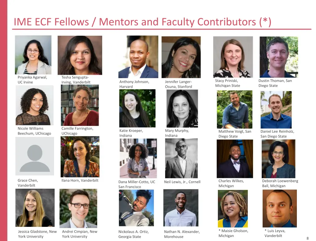 ime ecf fellows mentors and faculty contributors