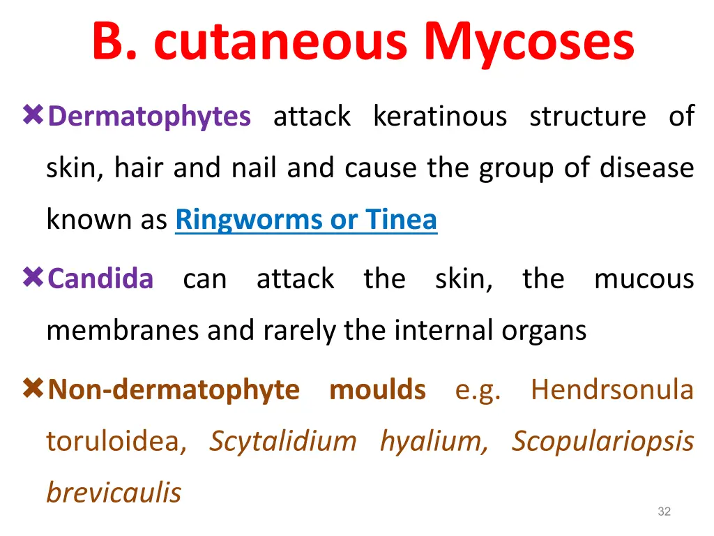 b cutaneous mycoses