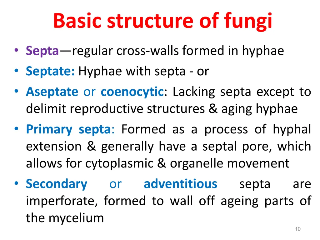 basic structure of fungi 1