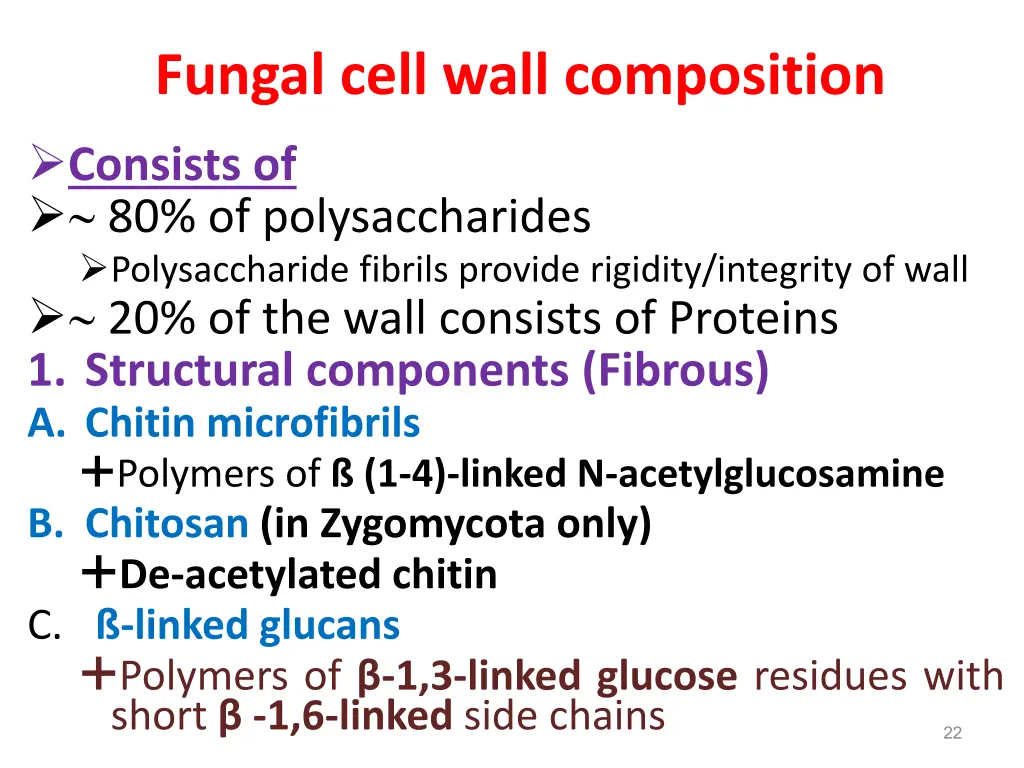 fungal cell wall composition consists