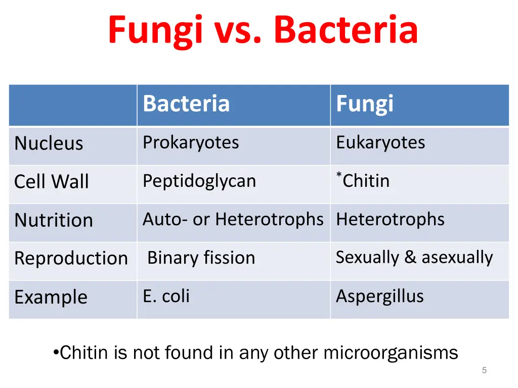 fungi vs bacteria