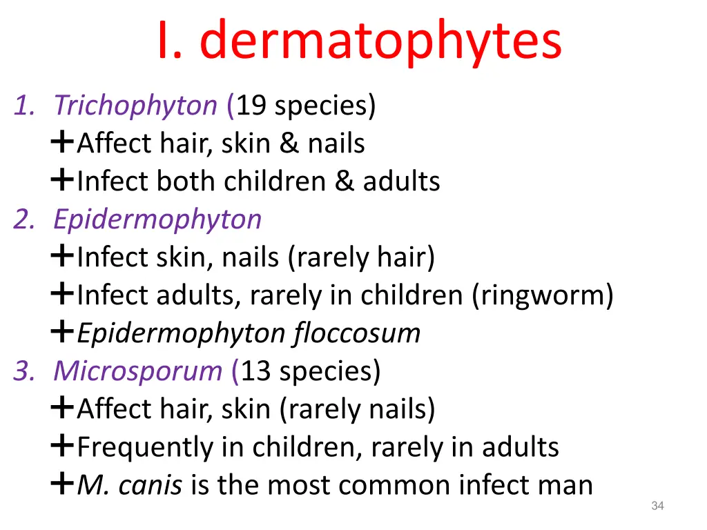 i dermatophytes 1