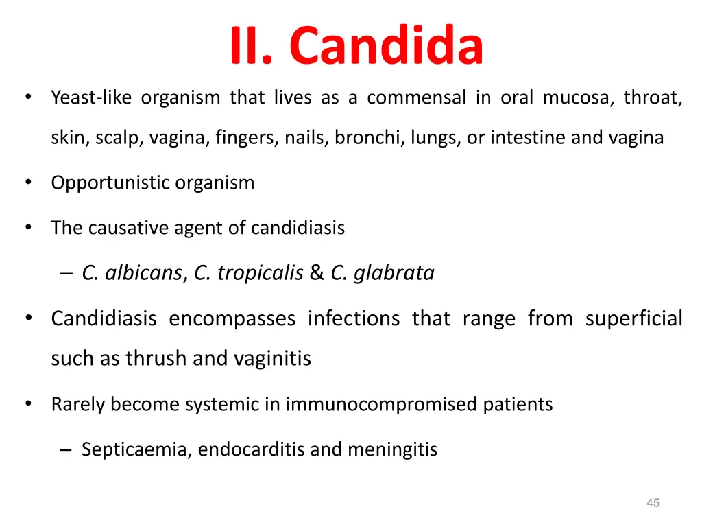 ii candida