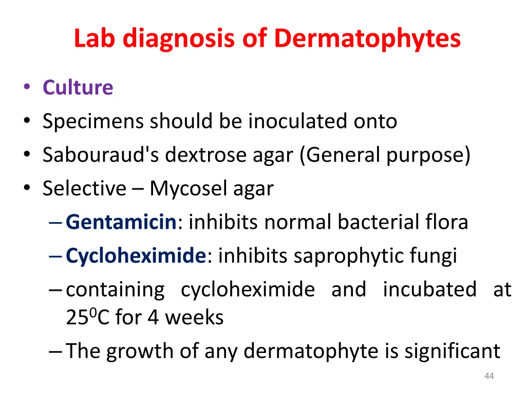 lab diagnosis of dermatophytes 1