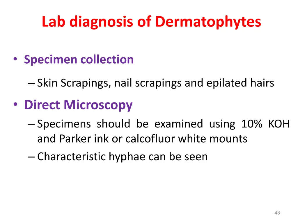 lab diagnosis of dermatophytes