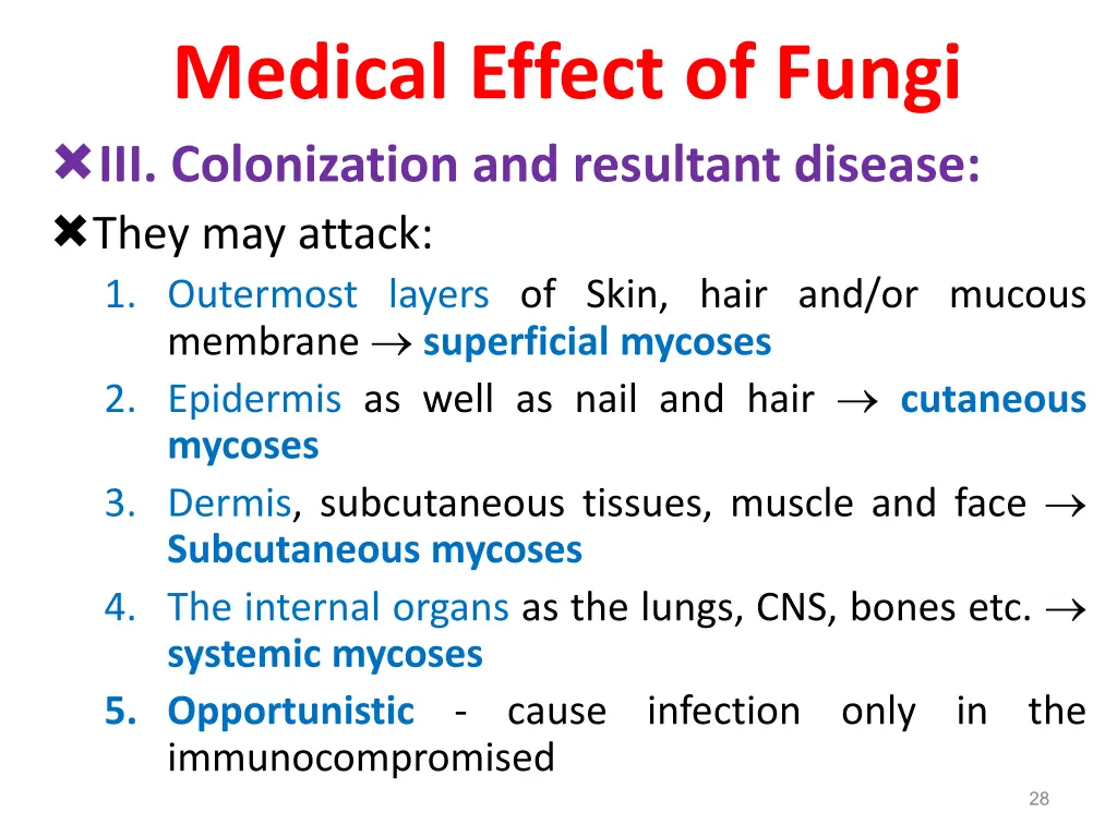 medical effect of fungi iii colonization