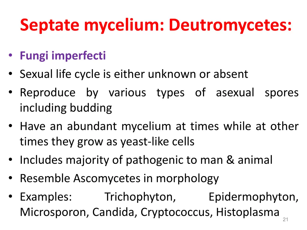 septate mycelium deutromycetes