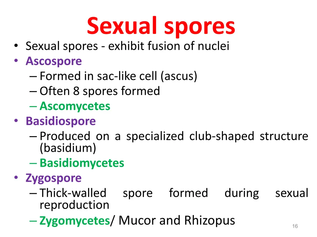 sexual spores sexual spores exhibit fusion