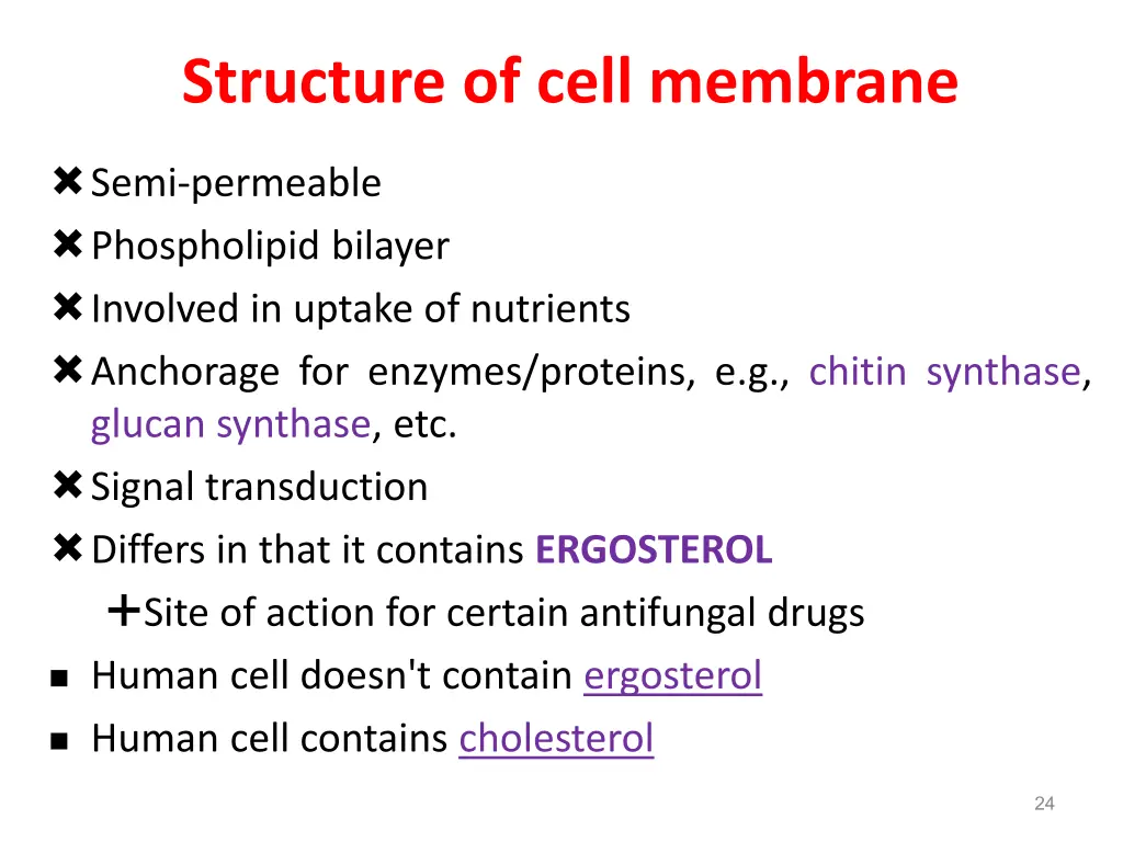 structure of cell membrane