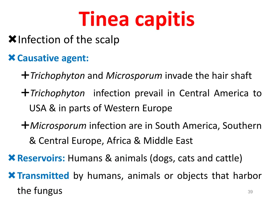 tinea capitis